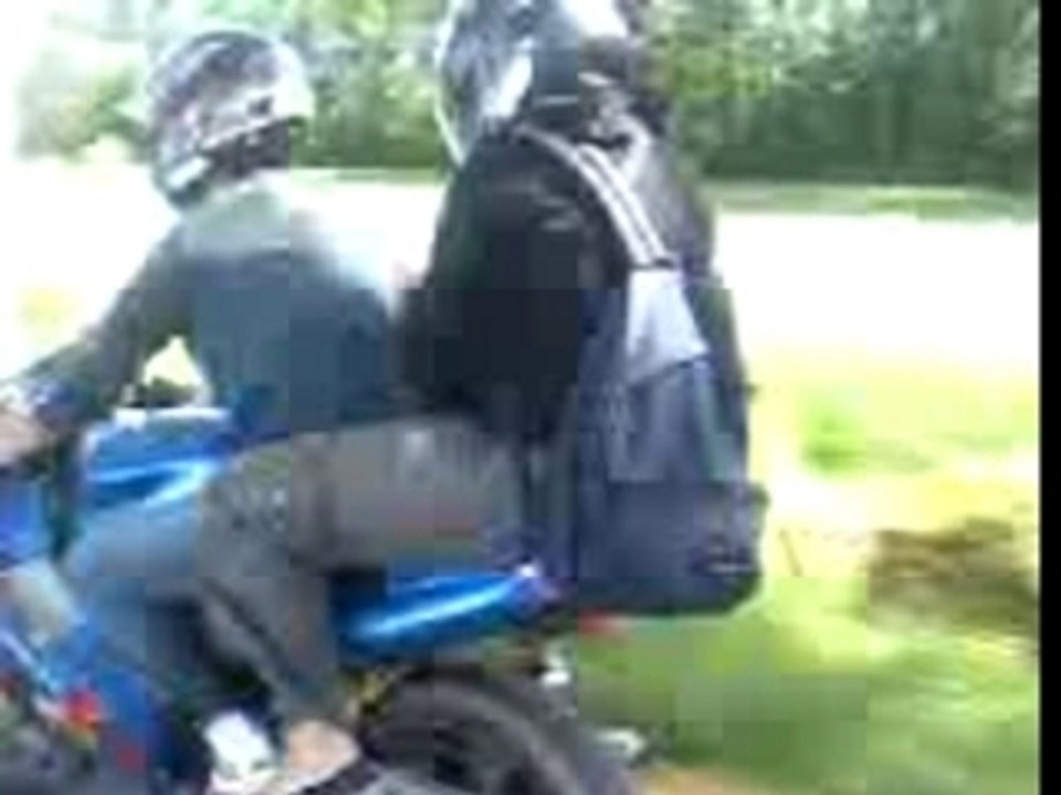 Nous