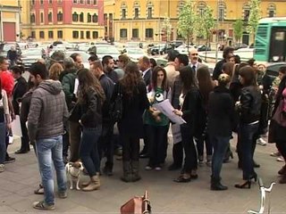 NE MBROJTJE TE KAFSHEVE PROTESTA PARA BASHKISE, "VRASJA E TYRE ESHTE VEPER PENALE" LAJM