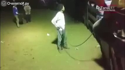 Внезапная корова