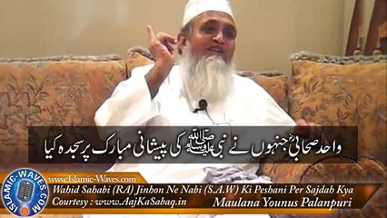 [RARE VIDEO] Wahid Sahabi RA Jinhon Ne Nabi SAW Ki Peshani Mubarak Per Sajdah Kya - Maulana Younas Palanpuri