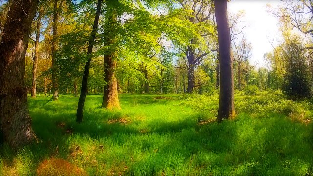 GUIDED MEDITATION Positive Affirmations