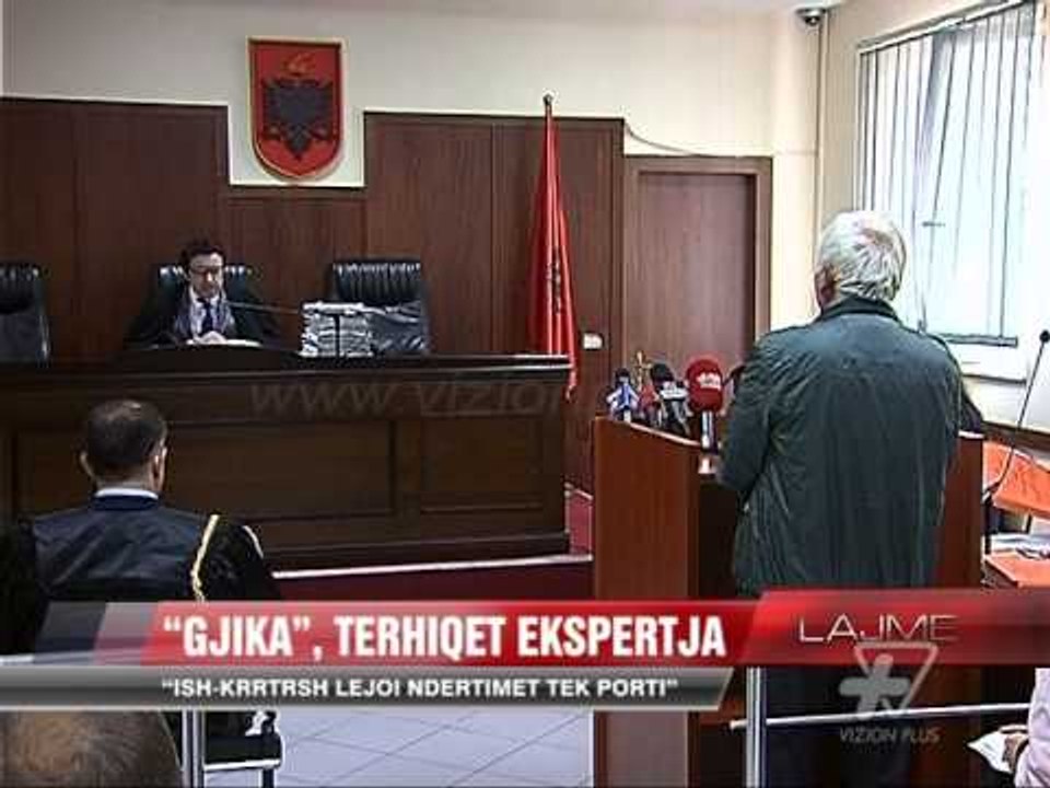 "Gjika", tërhiqet ekspertja - News, Lajme - Vizion Plus