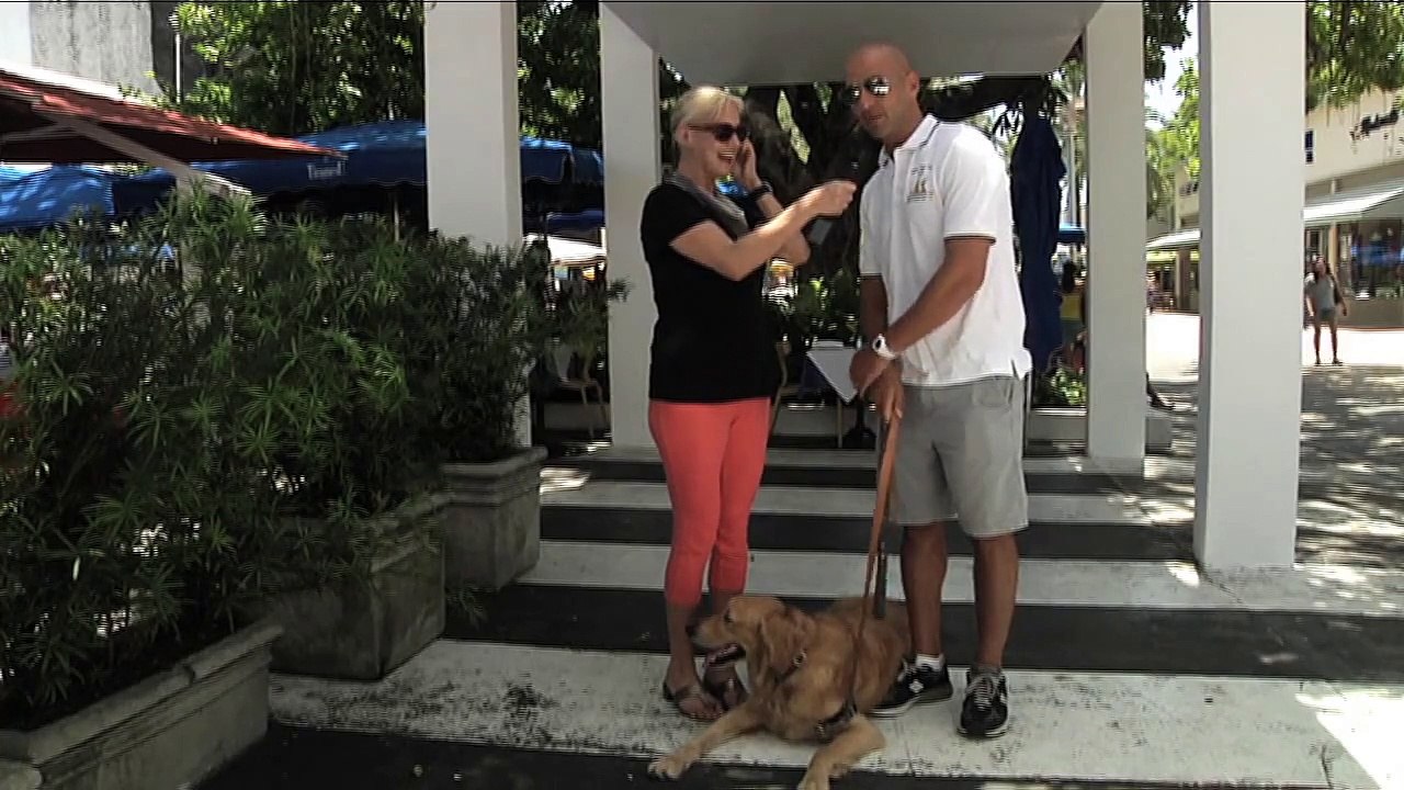 Vetstreet Interview Fun Paw Care