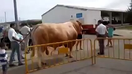 2013 .Тажикистан . Нов