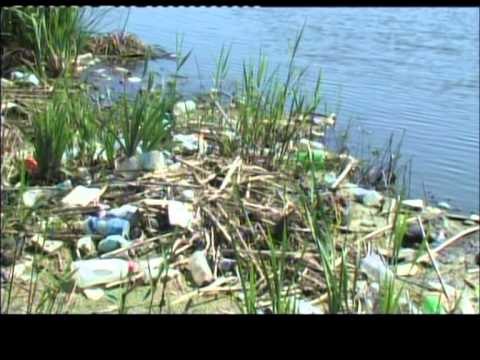 NDOTJA E BREGUT TE SEMANIT NE E RREZIK ZHDUKJA E FLORES E FAUNES,NUK KA FONDE PER PASTRIM LAJM