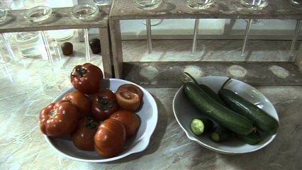 PANARITI, SHOW ME SIGURINE USHQIMORE