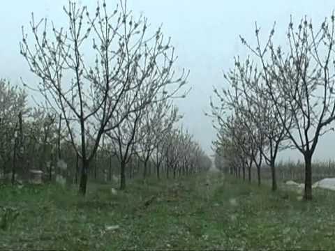 RIKTHEHET DEBORA MOT I KEQ DHE TEMPERATURA TE ULETA NE TE GJITHE VENDIN LAJM