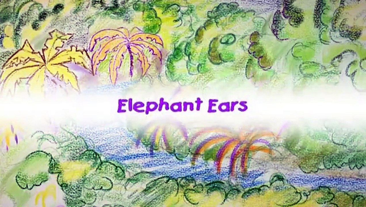 Big Grey Elephant Ears!