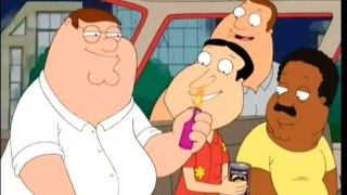 Family Guy - Seizoen 6 - Nu op DVD !