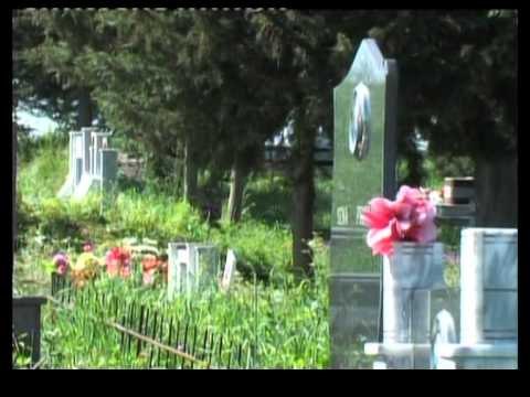 VARREZE BRENDA APOLONISE FIER,VIJON TE DEMTOHET PREJ 8 VITESH PARKU ARKEOLOGJIK LAJM