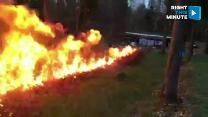 Silly Guys Set Huge Pile of Leaves on Fire