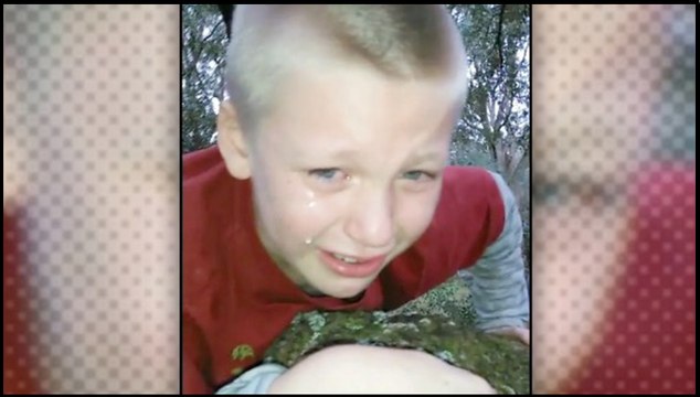 Family Laughs Hysterically as Young Boy Gets Stuck in a Tree