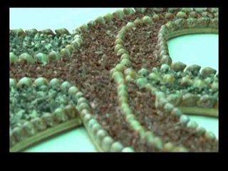 PASIONI I RRALLE 55 VJECARI I CILI PUNON MOZAIKE PER ANIJET DEKORATIVE LAJM