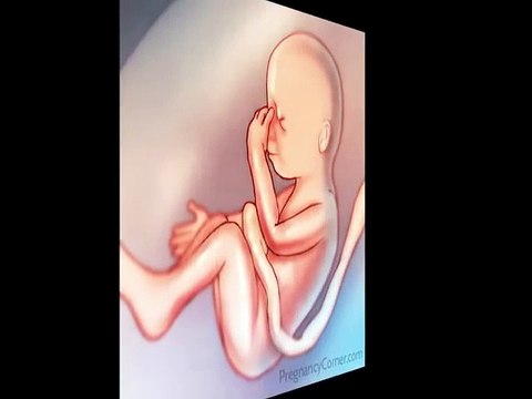 27 weeks pregnant, Body Changes at 27 Weeks, Pregnancy Week 27 Tips