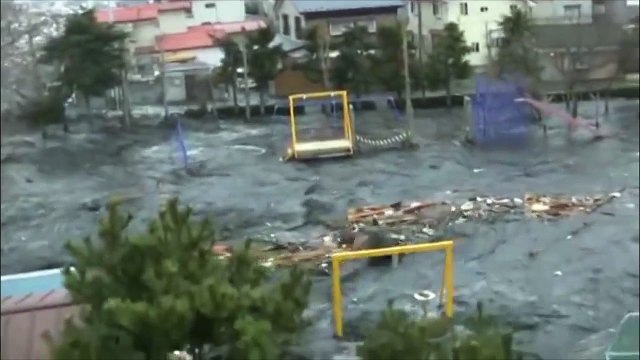 ЧТО ЭТО Непонятное НЕЧТО выпрыгнуло из воды во время Цунами!..