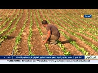 الأخبار الإقتصادية ليوم 13 نوفمبر 2015