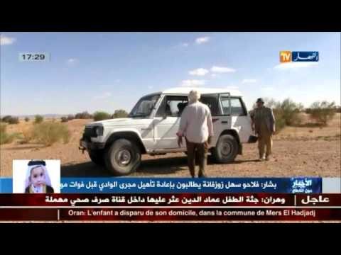 أهم و آخر أخبار المجتمع الجزائري في الموجز المحلي