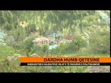 Dardha humb qetësinë - Top Channel Albania - News - Lajme
