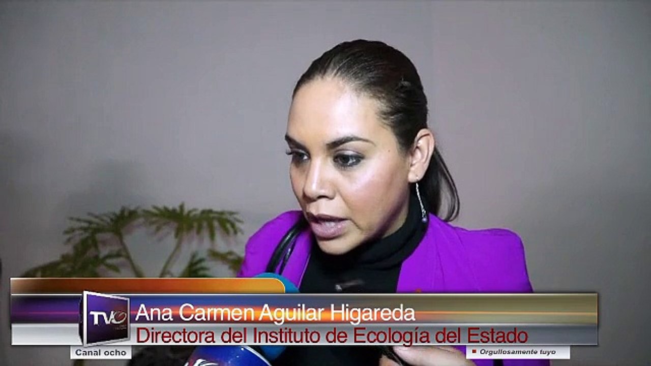 IEE aumenta presupuesto