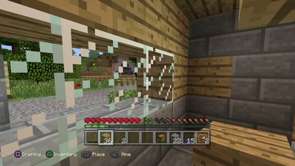 Minecraft: PlayStation®4 Edition_20151123070947