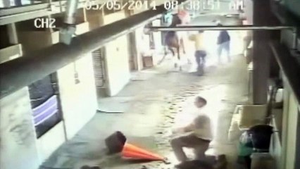 Un cheval énervé mordille un homme