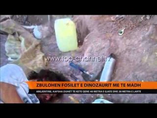 Zbulohen fosilet e dinosaurit më të madh - Top Channel Albania - News - Lajme