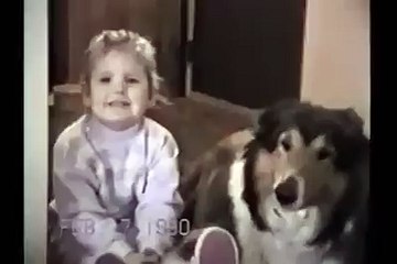 Funny Videos : Dog smile
