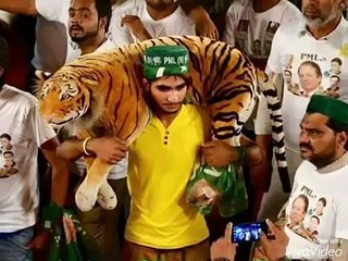 PMLN new songs 2015 bucheki_Google Brothers Attock