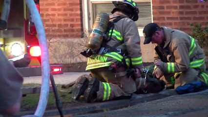 Regardez Comment Une Equipe De Pompiers Sort Un Chien D'une Maison En Feu Et Lui Sauve La Vie!