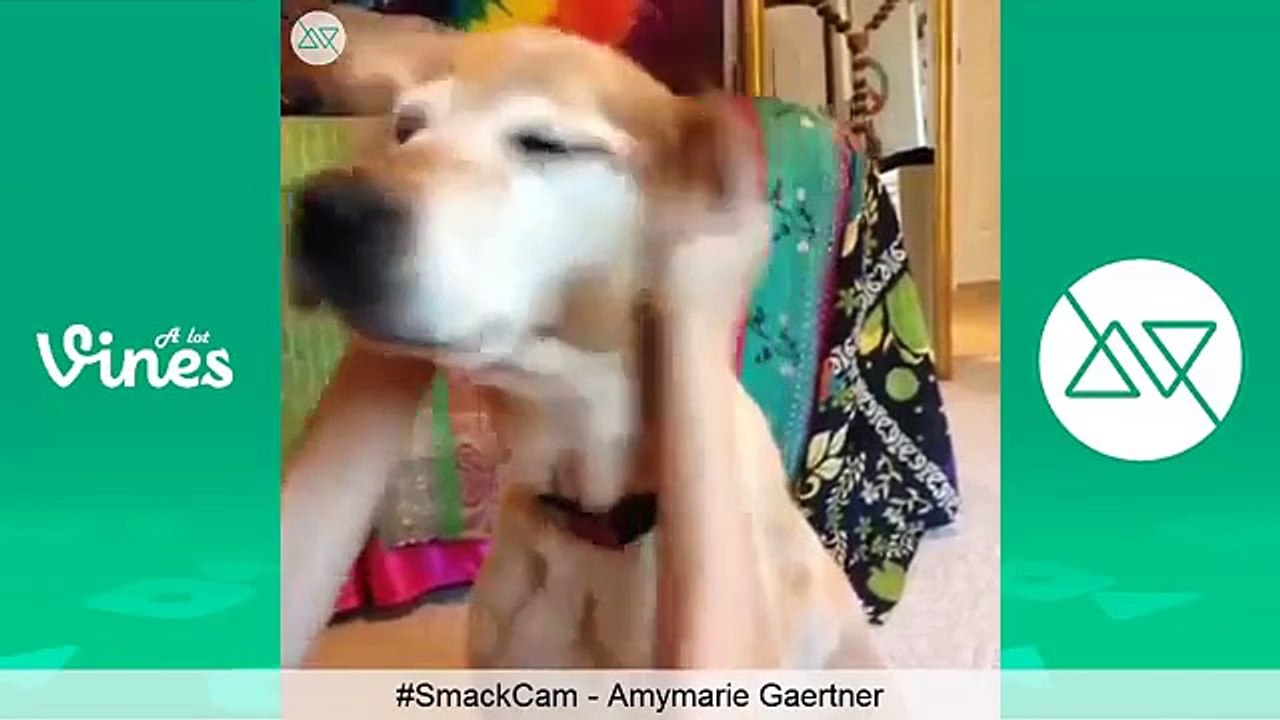 #TBT ULTIMATE Smack Cam Vine Compilation Max JR, Elton Castee and Curtis Lepore