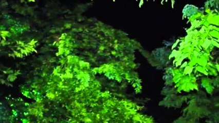 STUHI BRESHERI DHE PERMBYTJE NE SHKUP