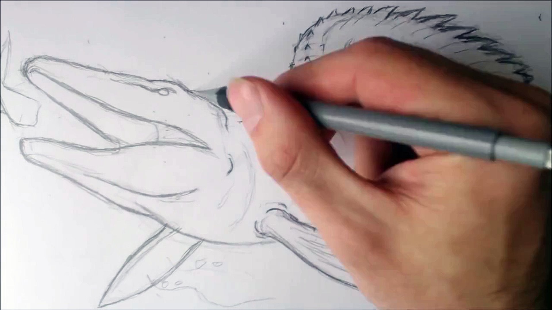 How To Draw A Mosasaurus Mosasaurs 101: National Geographic