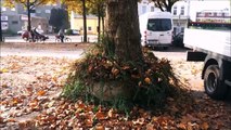 Timelapse Zeitraffer -  Pinneberg Marktplatz Oktober 2015