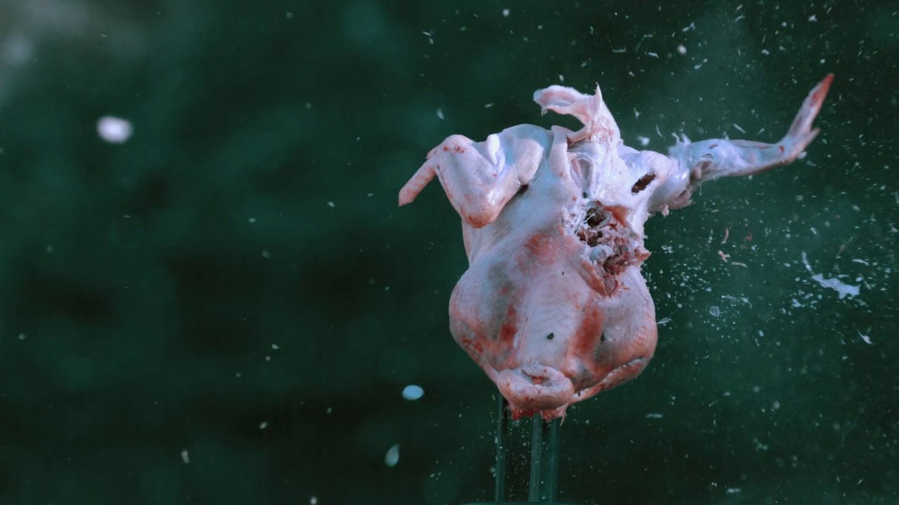Turkeys Destroyed in Glorious Slow Motion