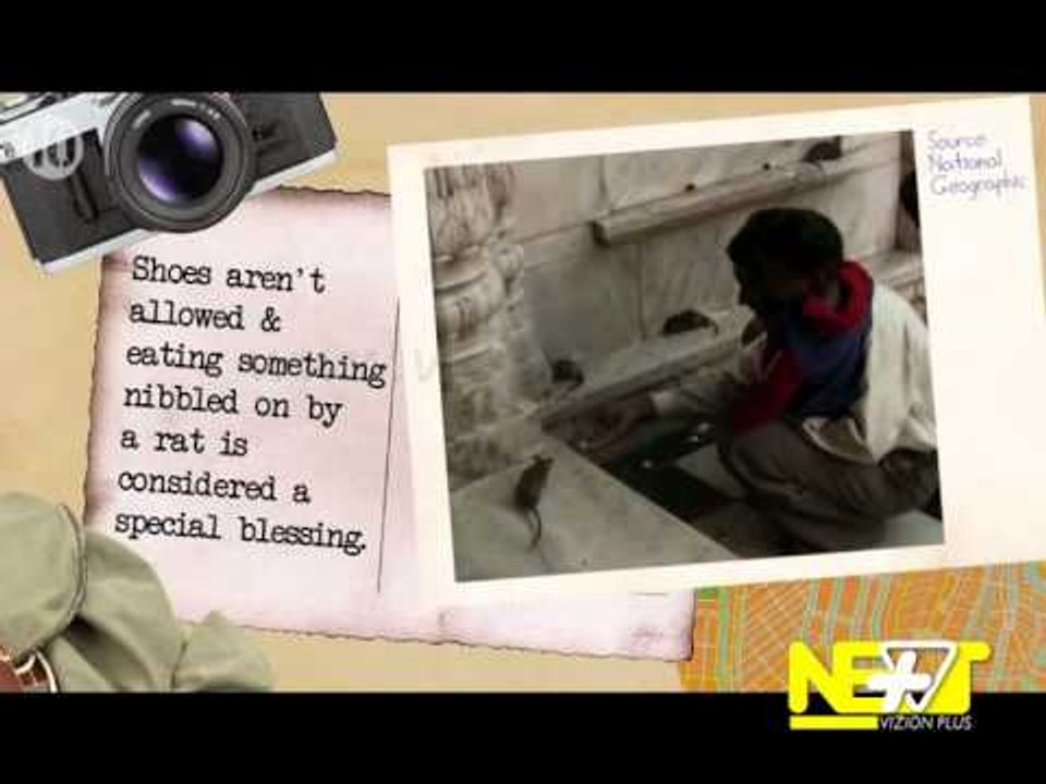 Next - Top10 / Tech - 27 Maj 2014 - Show - Vizion Plus