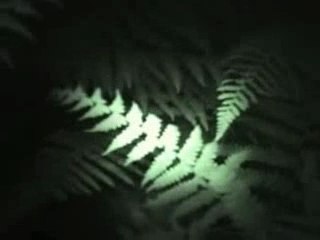 Bjork - It's in our hands