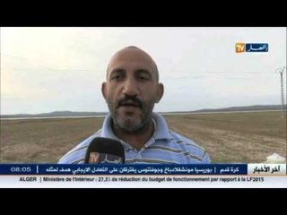 الطارف: الإنطلاق في تسويق منتوج الفول السوداني وسط صعوبات يتلقاها المنتجون