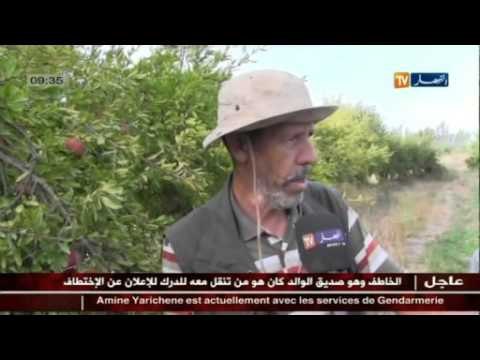 تلمسان: مناطق جبلية تتحول إلى لأراضي خصبة بفضل مجهودات عمي مصطفى