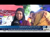 ماذا يعرف الجزائريين عن ذكرى أول نوفمبر ؟