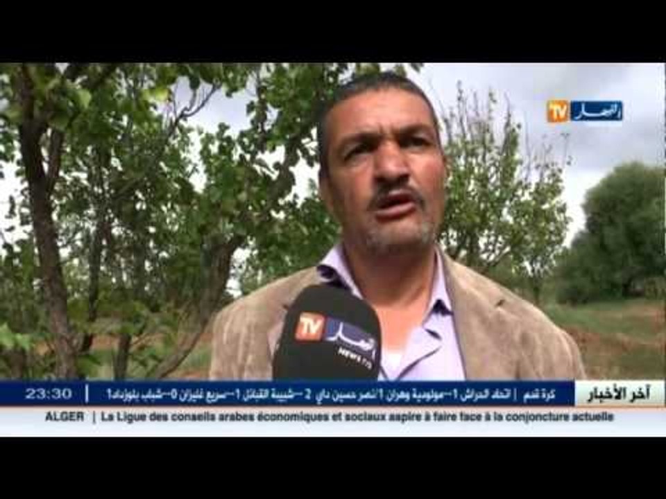 الطارف.. فلاح مهدد بقطع أشجار بساتينه بعد عشرات السنين من العمل الجاد