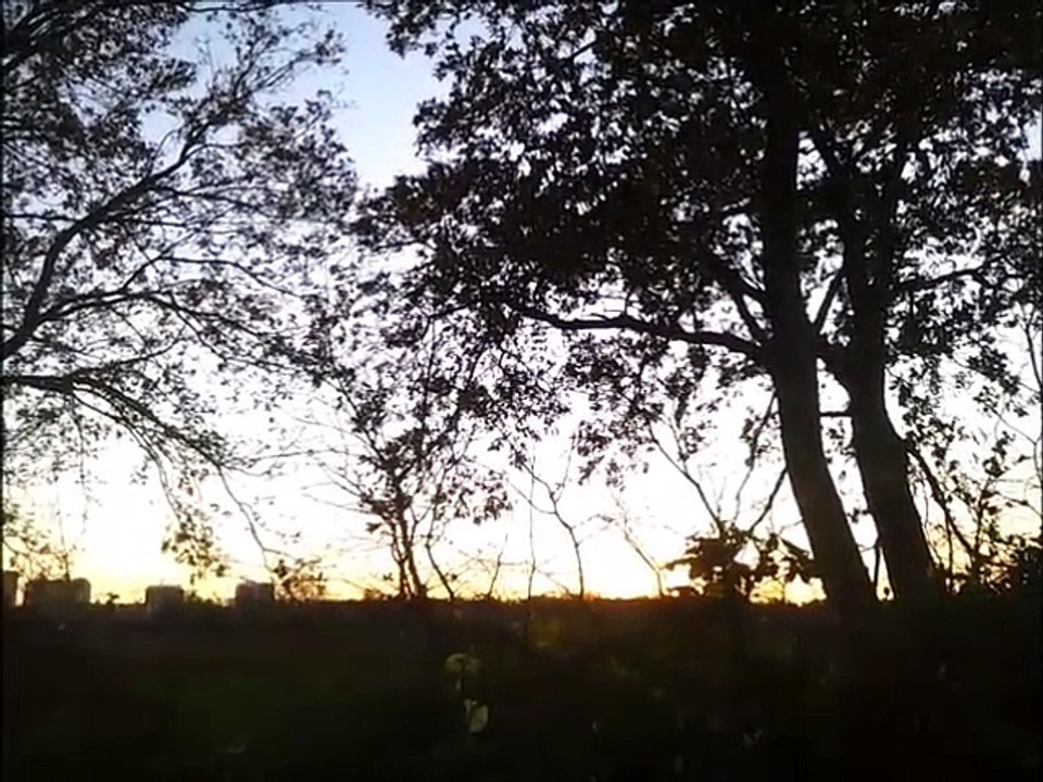 Zukunft baut Pinneberg - An der Autobahn November 2015 /Full Film/Complete Movie/Ganzer Film