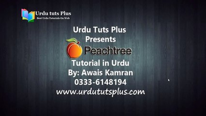 Peachtree 2010 in Urdu 1/69