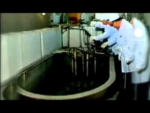 NEGOCIATAT ME IRANIN MINISTRI I JASHTEM GJERMAN SHPREHET OPTIMIST PER BISEDIMET LAJM