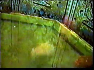 AsadAgha-Ya Ali Ya Ali-2003