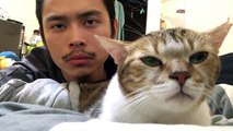 Asian guy with cat dancing to Drake Hotline blink.