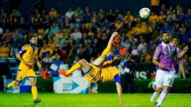 Gignac inscrit un superbe ciseau acrobatique avec les Tigres!