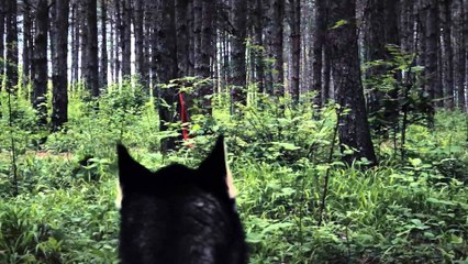 Konkursi 10 Vjet Digitalb - Vendi I dyte