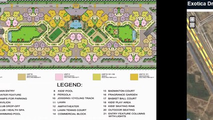 Exotica Dreamville Your Living Purpose