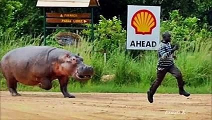 People Having The Worse Bad Day - Funny Fails 2015