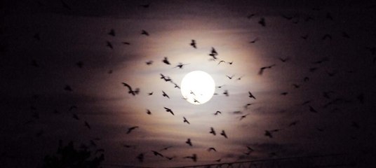 Muhteşem dolunay manzarası bölye görüntülendi